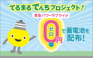 サムネイル:てるまるでんちプロジェクトエントリー開始
