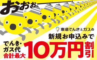 サムネイル：10周年記念！ドドンと10万円割引キャンペーン