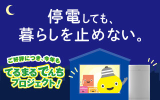 サムネイル：てるまるでんちエントリー開始