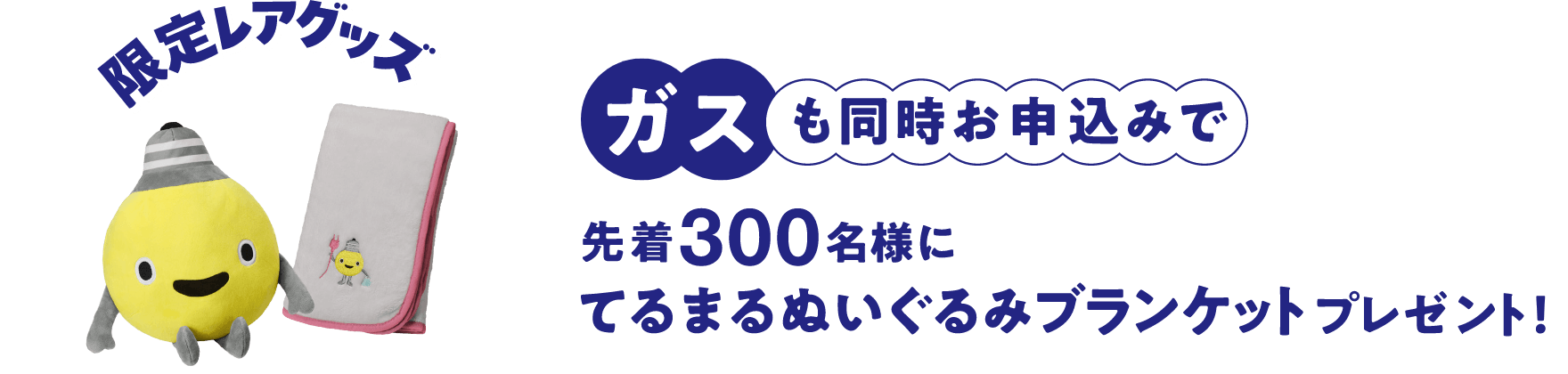 限定レアグッズ ガスも同時お申込みで先着300名様にてるまるぬいぐるみブランケットプレゼント!