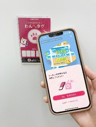 画像4.jpg