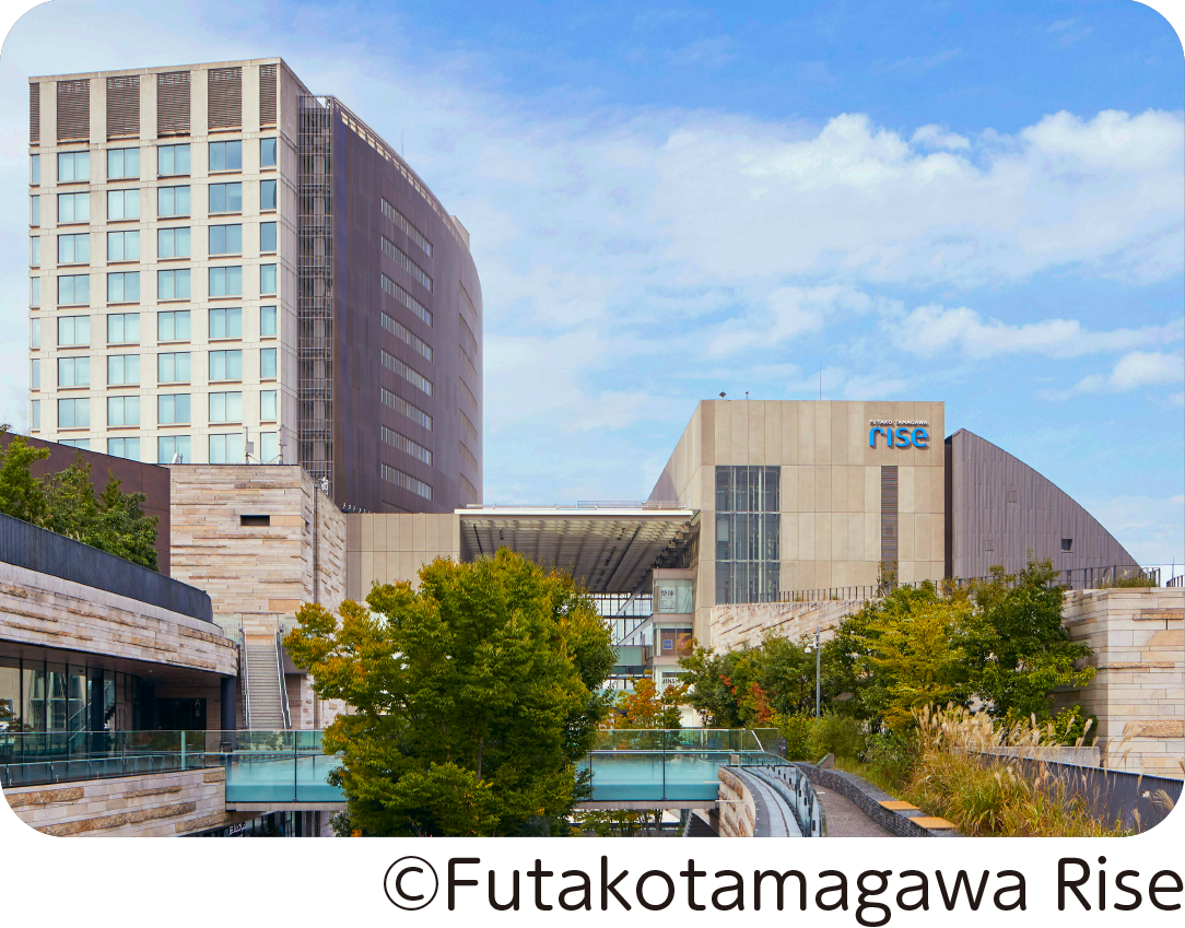 4_ライズ.png
